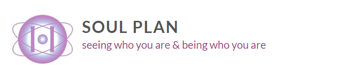 Soul Plan logo